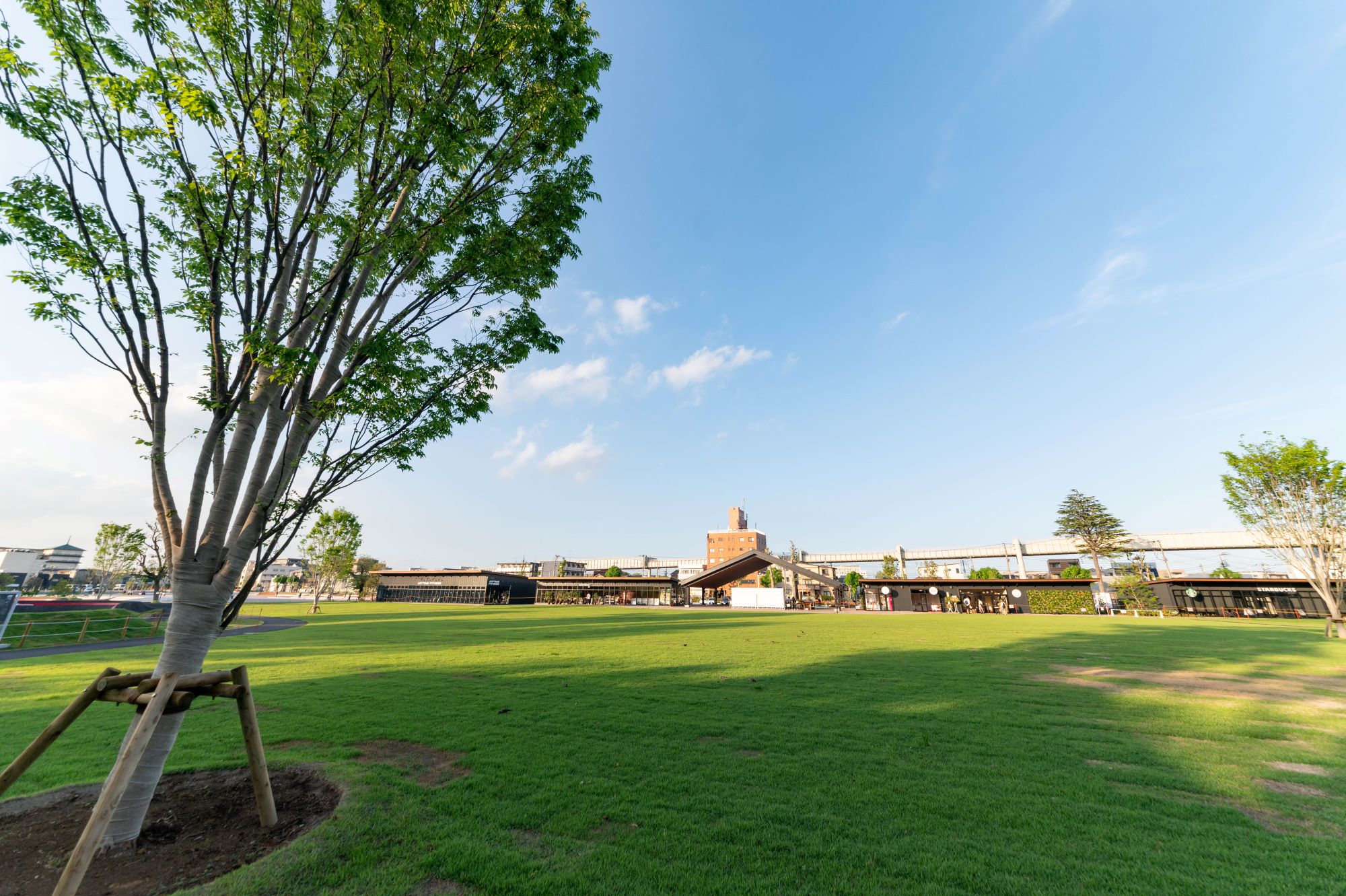 ｜千葉公園賑わいエリア及びドーム前広場